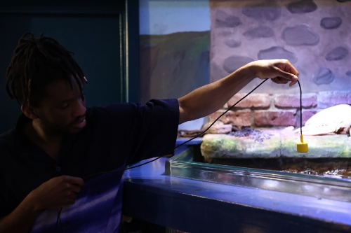 Primary pupil holding a yellow hydrophone over a water tank, with a stone wall and greenery in the background.  Macduff Marine Aquarium